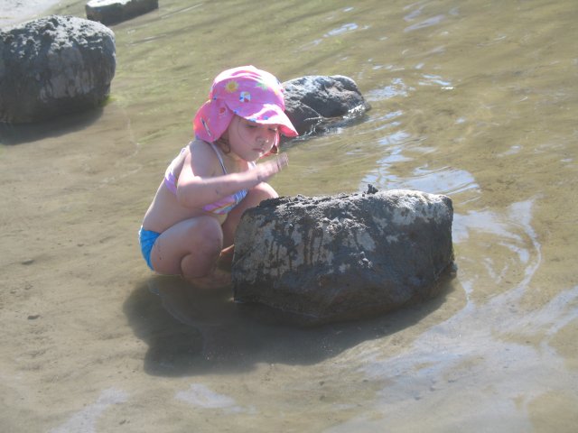 8.26-27.06 Twin Lakes & Palmateer Point 191 